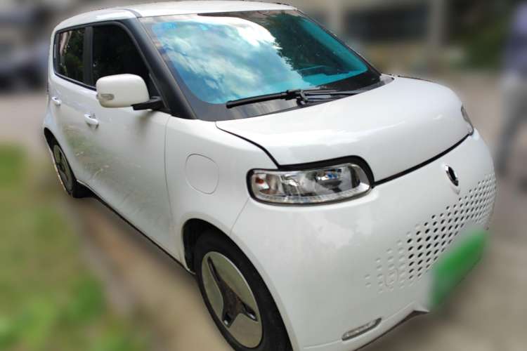 Used ORA White Cat 2020 360 km Luxury Version