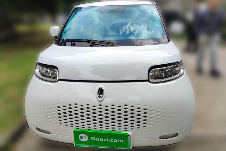 Used ORA White Cat 2020 360 km Luxury Version