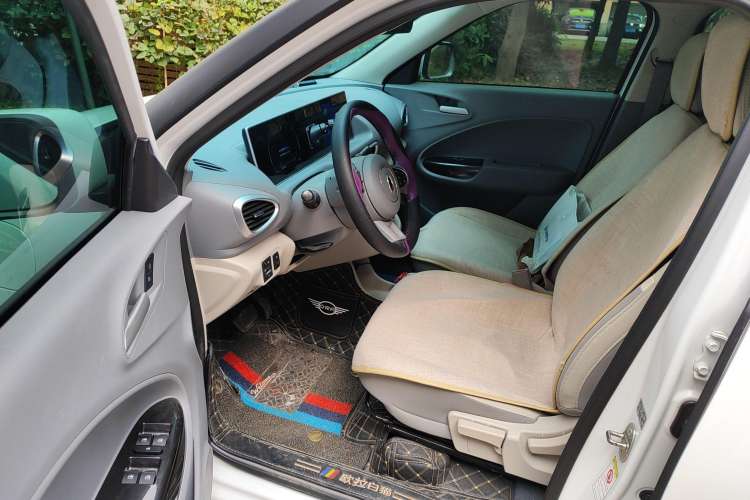 Used ORA White Cat 2020 360 km Luxury Version