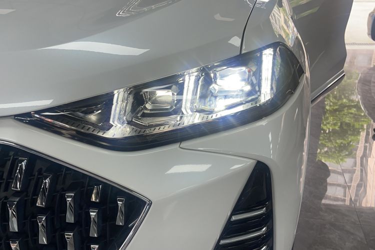 Used Wey Mocha 2021 2.0T Two-Wheel-Drive Ultra-Strong Version
