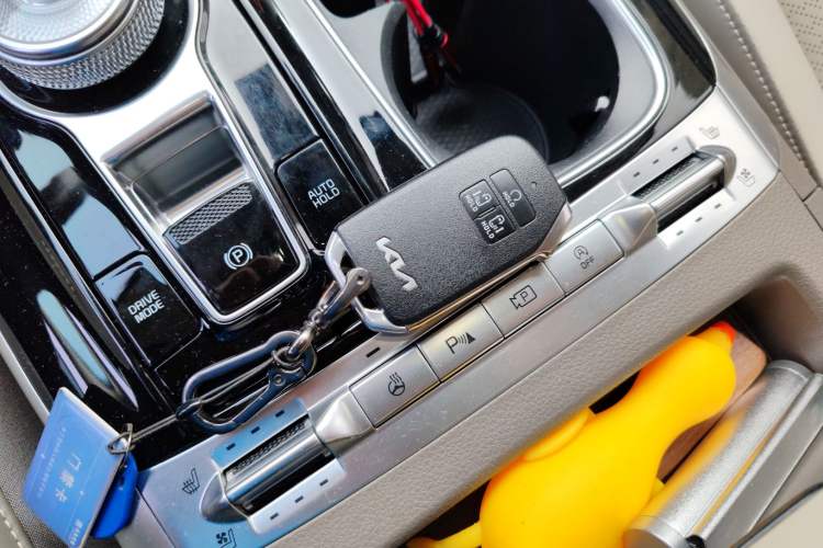 Used Kia Carnival 2021 2.0T Flagship Edition