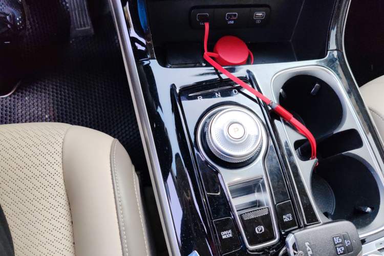 Used Kia Carnival 2021 2.0T Flagship Edition