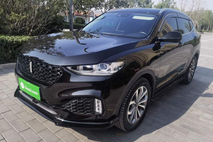 Used Wey VV6 2019 2.0T Two-Wheel-Drive Flagship Version China VI Standard
