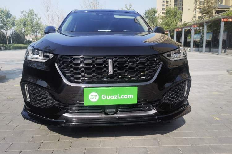 Used Wey VV6 2019 2.0T Two-Wheel-Drive Flagship Version China VI Standard
