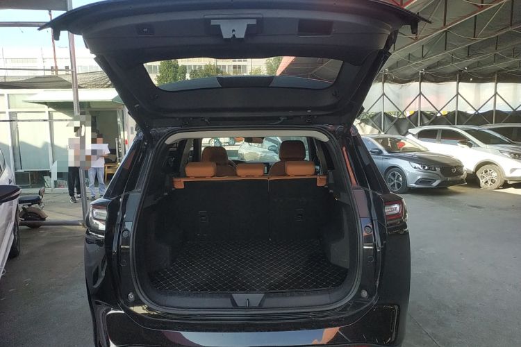 Used WM Motor W6 2021 520km PRO All-Round Edition