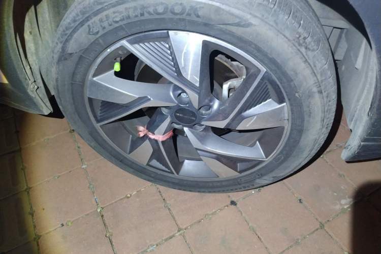 Used BAIC Beijing X7 2020 1.5TD DCT Trendy Edition