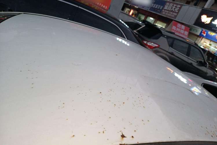 Used Soueast V5 Lingzhi 2017 1.5L Manual New Generation Model Roof