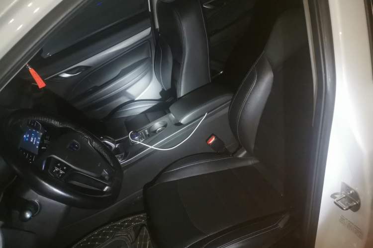 Used Geely Auto Emgrand New Energy 2018 EV450 Elite Model Left Front Seat