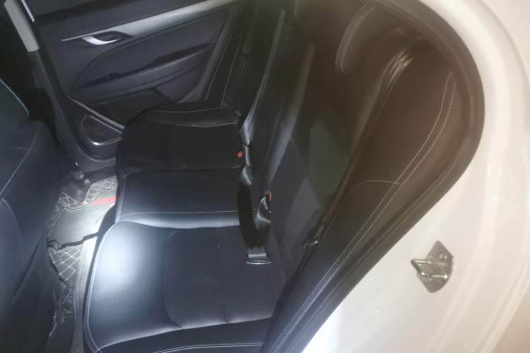 Used Geely Auto Emgrand New Energy 2018 EV450 Elite Model Left Rear Seat