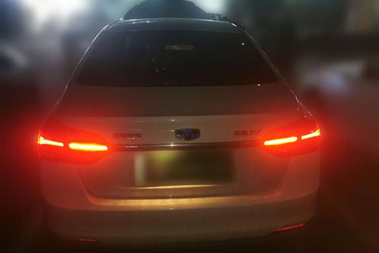 Used Geely Auto Emgrand New Energy 2018 EV450 Elite Model Rear