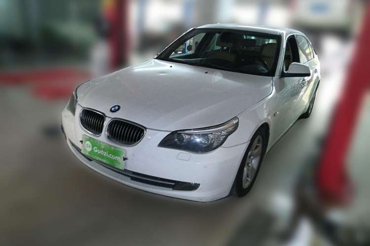 Used BMW 5 Series 2010 523Li Leading Model