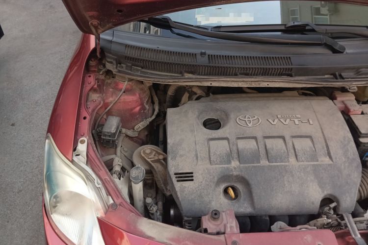Used Toyota Vios 2008 1.6L GL-i Special Edition AT