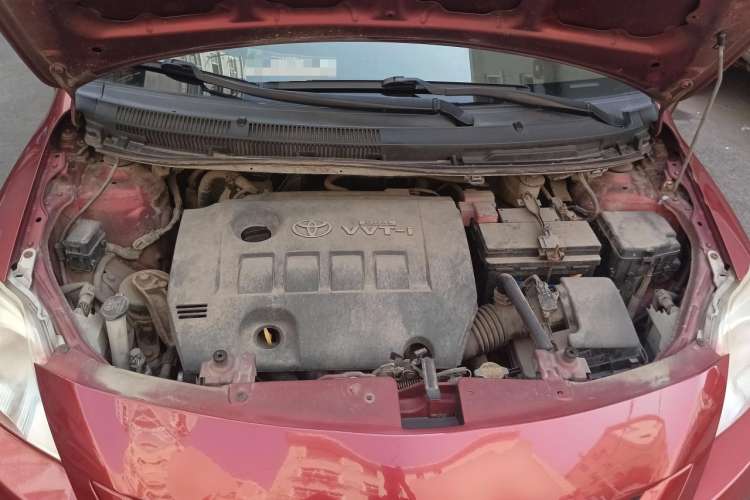 Used Toyota Vios 2008 1.6L GL-i Special Edition AT