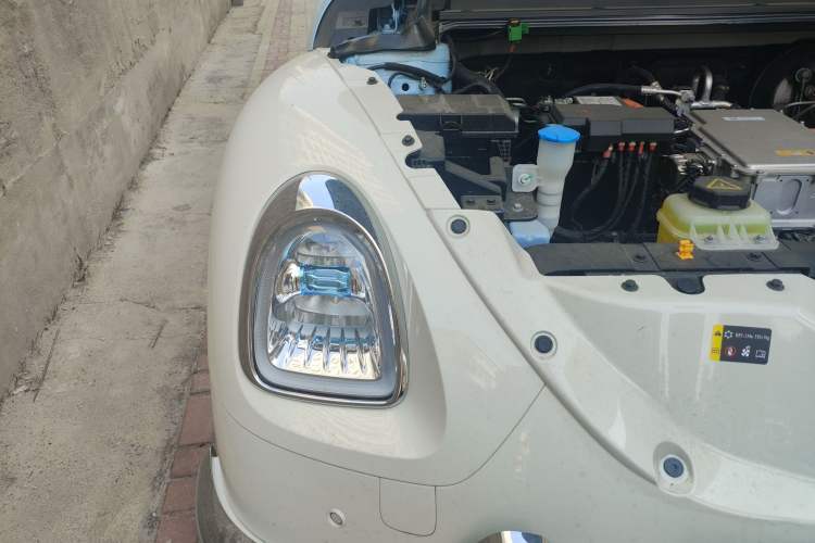 Used ORA Ballet Cat 2022 401 km Nutcracker Edition
