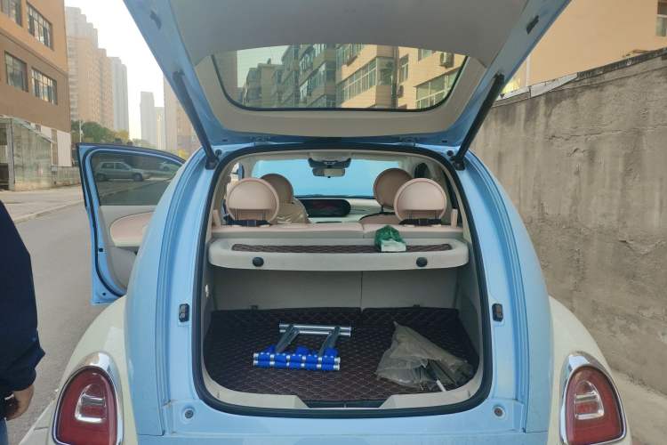 Used ORA Ballet Cat 2022 401 km Nutcracker Edition
