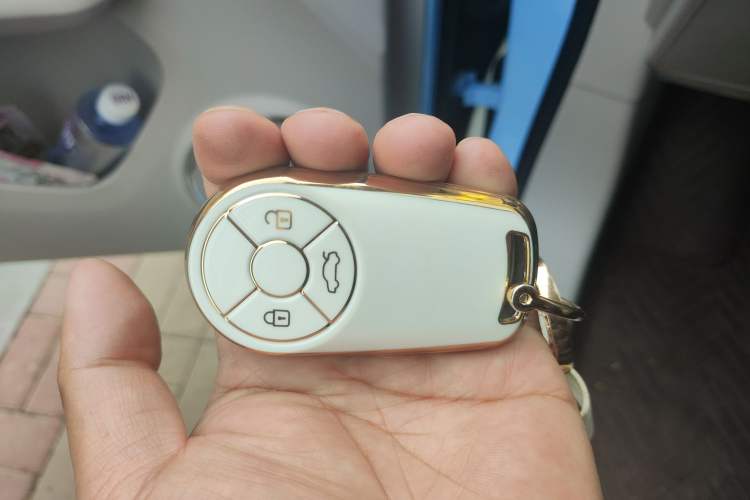 Used ORA Ballet Cat 2022 401 km Nutcracker Edition
