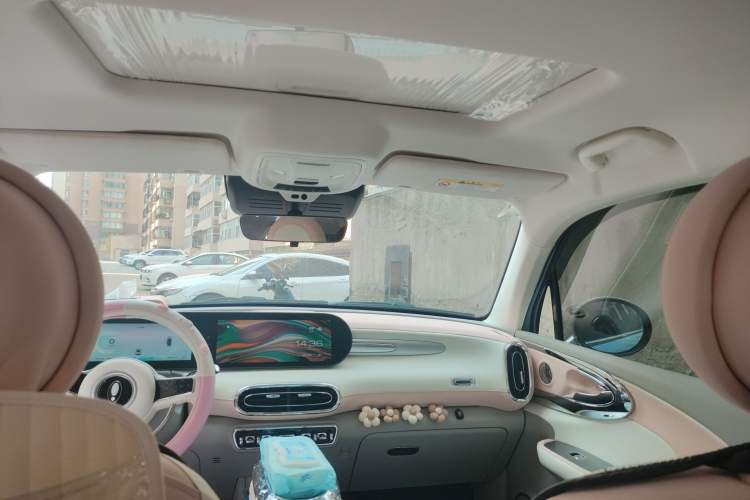 Used ORA Ballet Cat 2022 401 km Nutcracker Edition
