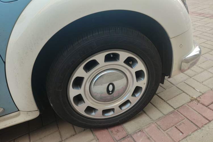 Used ORA Ballet Cat 2022 401 km Nutcracker Edition
