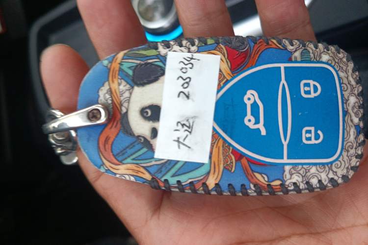 Used Dayun Yuehu 2021 32.85 kWh Two-Wheel-Drive Sprite Version