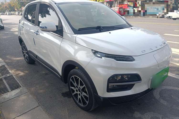 Used Dayun Yuehu 2021 32.85 kWh Two-Wheel-Drive Sprite Version