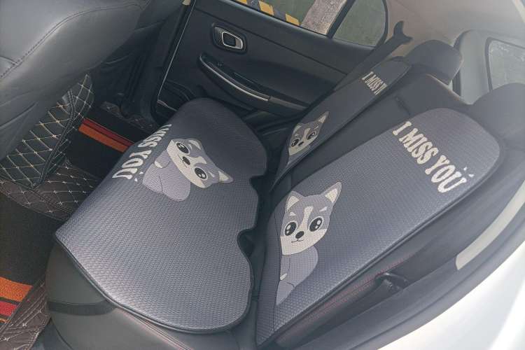 Used Dayun Yuehu 2021 32.85 kWh Two-Wheel-Drive Sprite Version