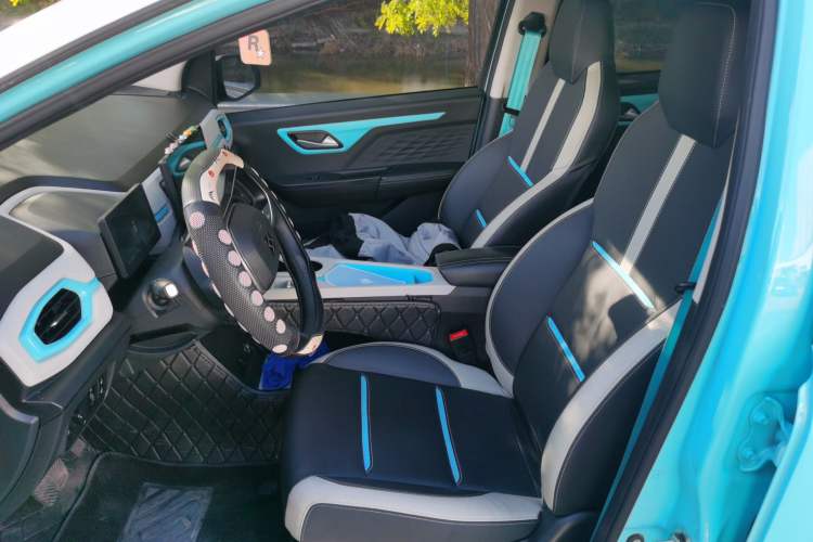 Used SOL E10X 2022 Flower Fairy Style Baby's Breath
