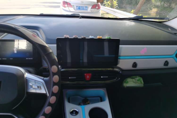 Used SOL E10X 2022 Flower Fairy Style Baby's Breath
