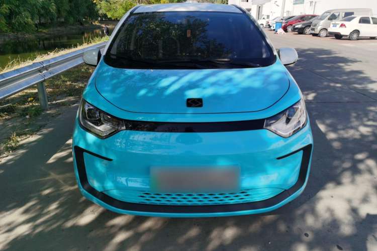 Used SOL E10X 2022 Flower Fairy Style Baby's Breath
