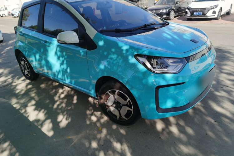 Used SOL E10X 2022 Flower Fairy Style Baby's Breath
