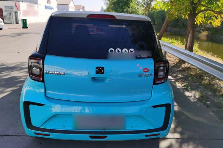 Used SOL E10X 2022 Flower Fairy Style Baby's Breath
