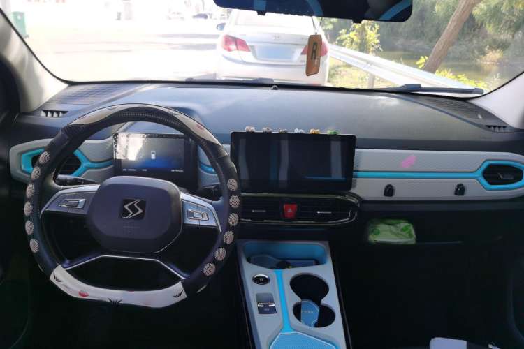 Used SOL E10X 2022 Flower Fairy Style Baby's Breath
