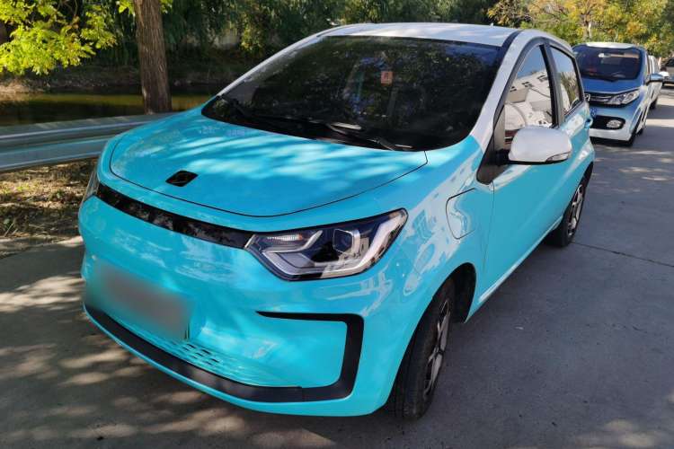 Used SOL E10X 2022 Flower Fairy Style Baby's Breath