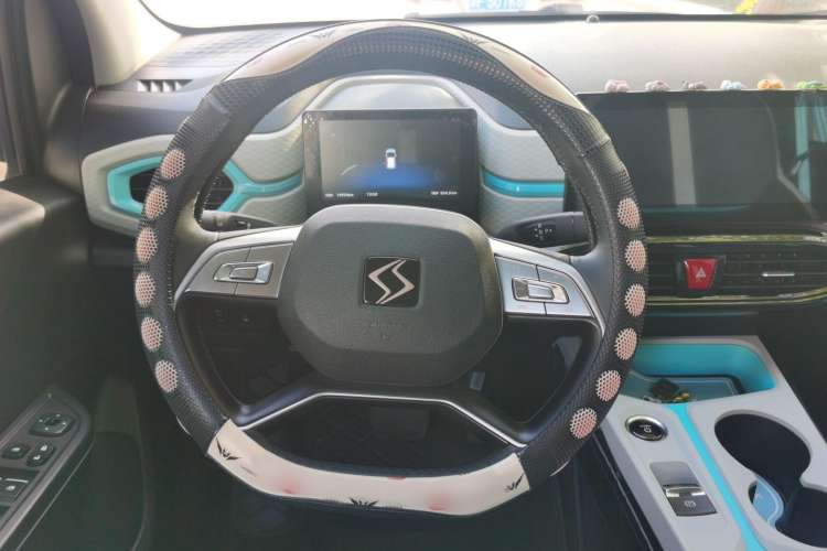 Used SOL E10X 2022 Flower Fairy Style Baby's Breath
