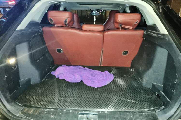 Used WM Motor EX5 2020 EX5-Z Fun Dynamic Edition
