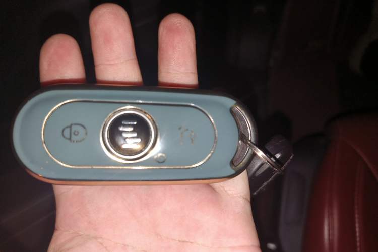 Used WM Motor EX5 2020 EX5-Z Fun Dynamic Edition
