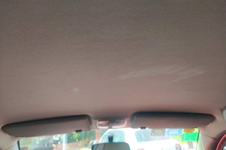 Used Know Beans D2 2016 D2 Model
