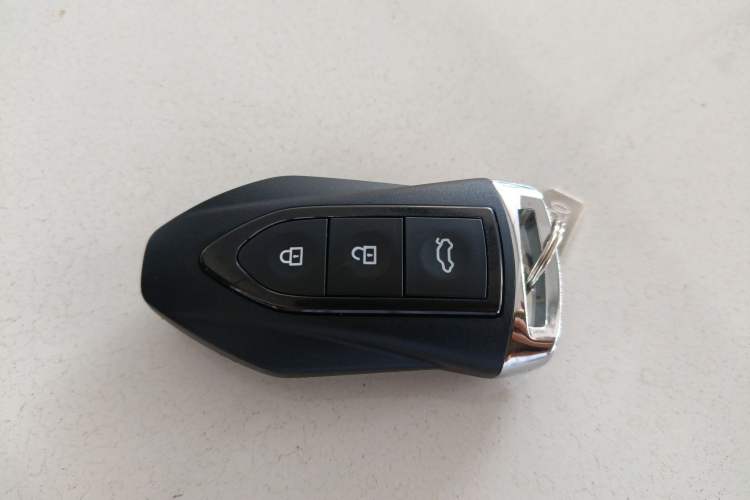 Used Leopaard CS10 2019 2.0T Automatic Drive Yue Edition