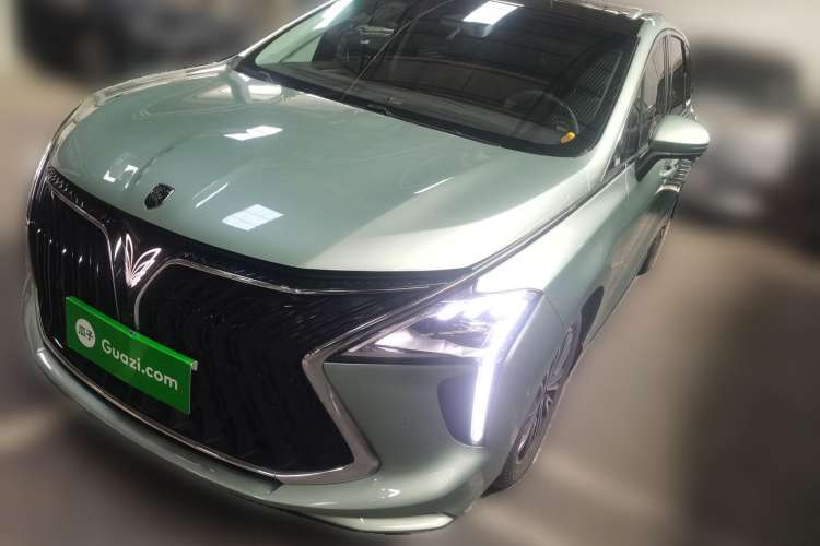 Used FORTHING Yacht 2022 1.5T DCT Lan Yue Edition