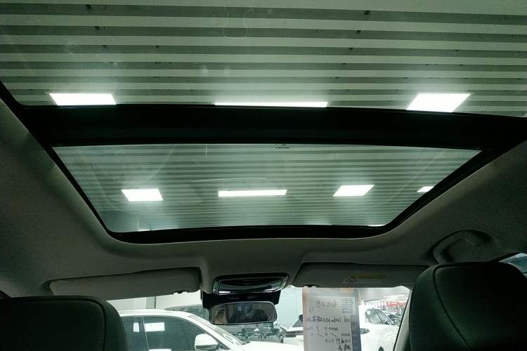 Used WM Motor W6 2021 520 km NEX Exploration Edition