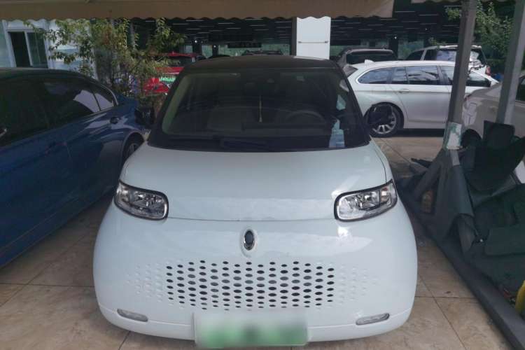 Used ORA White Cat 2020 401 km Flagship Version