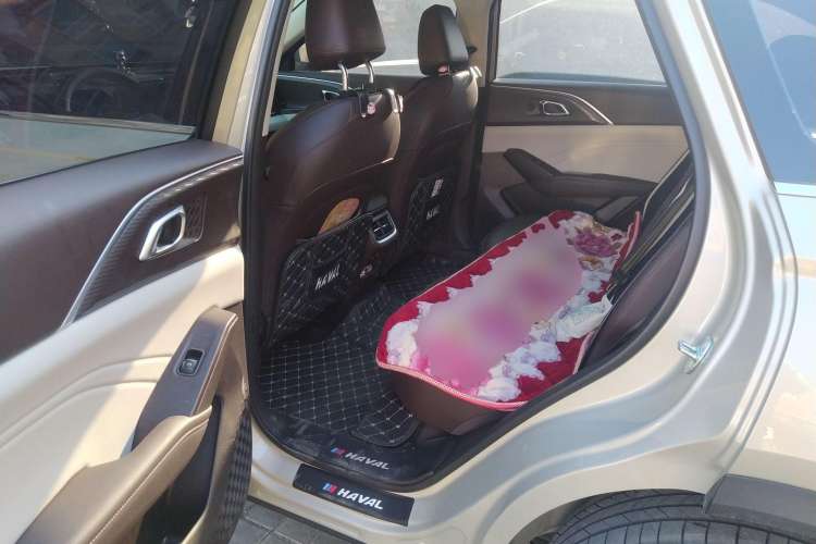 Used Haval Fierce Dragon Max 2023 1.5L Hi4 105 Four-Wheel Drive Smart Flagship Edition Left Rear Seat