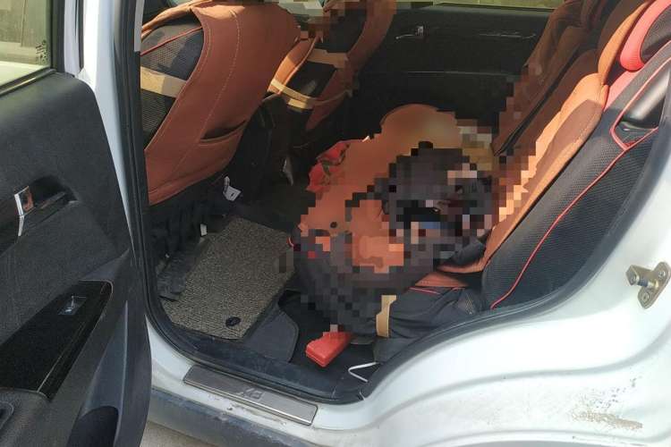 Used Land X8 2014 Explorer Edition 2.0T Gasoline 4x2 Luxury Model
