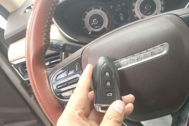 Used Leopaard CS9 2018 1.5T CVT Jinglang Model
