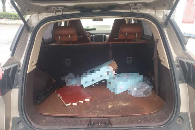 Used Leopaard CS9 2018 1.5T CVT Jinglang Model
