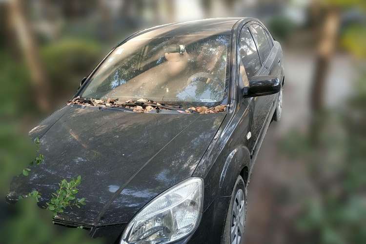 Used Kia Rio 2007 1.4L MT GL