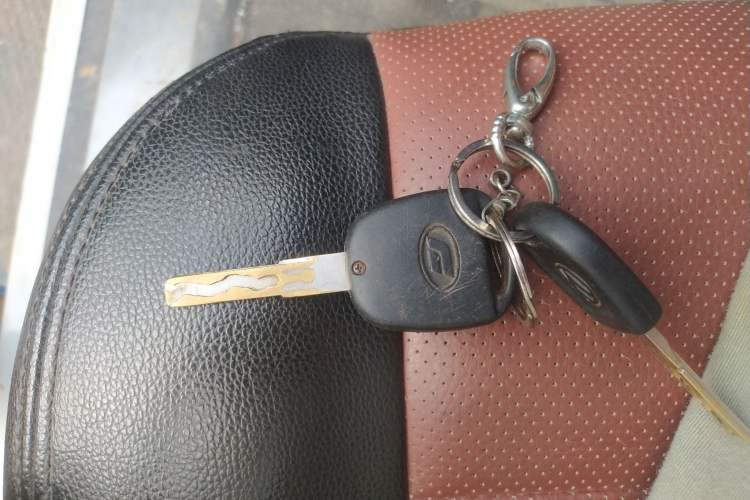 Used Foday Lion F22 2015 2.4L Two-Wheel-Drive Gasoline Standard Version 4G69S4N