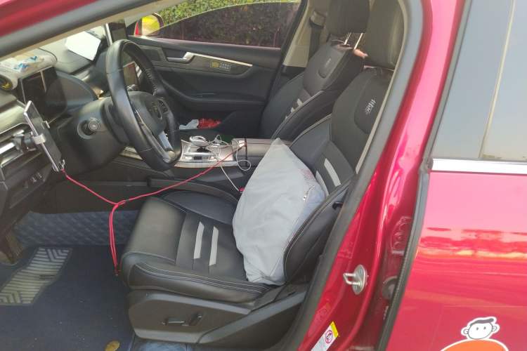 Used BYD Qin Pro New Energy 2018 EV500 Smart Connect Elite Model Left Front Seat