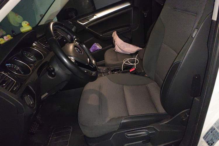 Used Volkswagen Golf Pure Electric 2020 Chari Left Front Seat