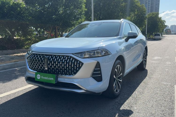 Used Wey Mocha 2021 2.0T Two-Wheel-Drive Premium Edition