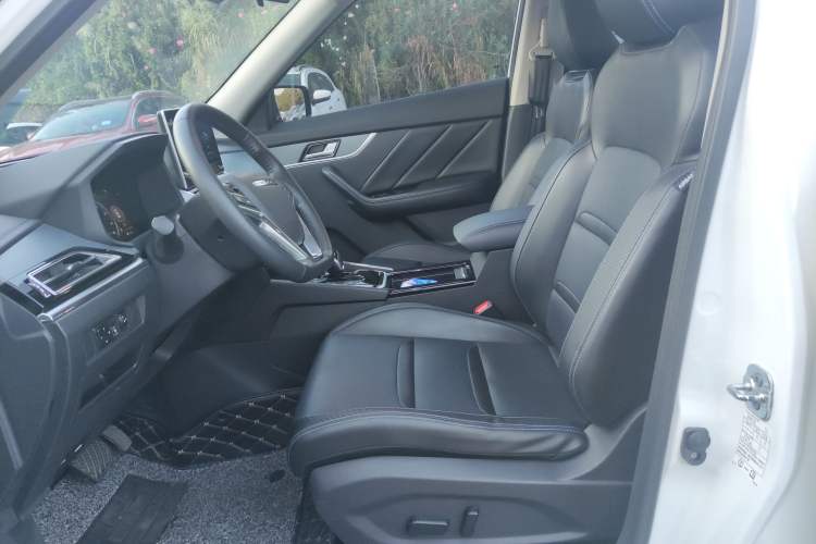 Used Venucia T60EV 2020 AI Flagship Model